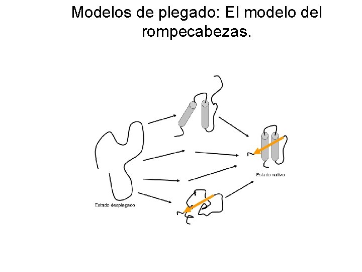 Modelos de plegado: El modelo del rompecabezas. 