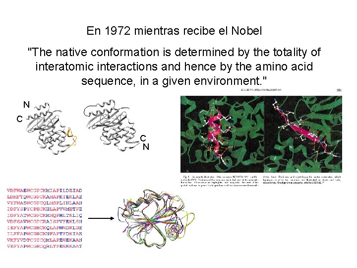 En 1972 mientras recibe el Nobel "The native conformation is determined by the totality