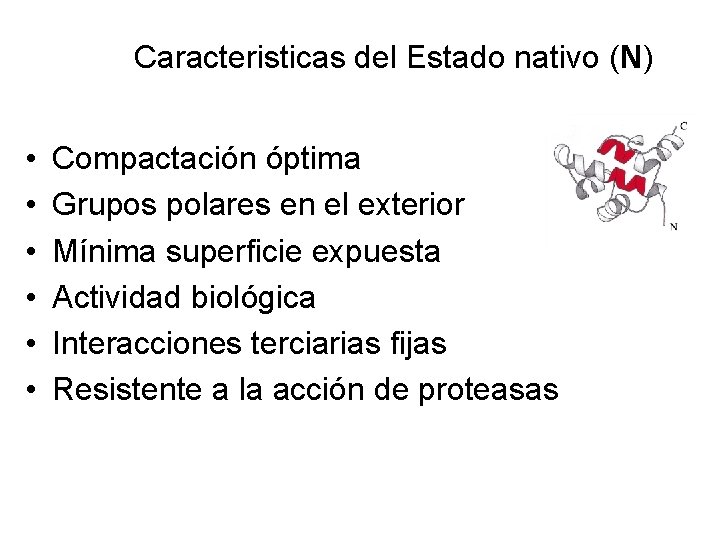 Caracteristicas del Estado nativo (N) • • • Compactación óptima Grupos polares en el