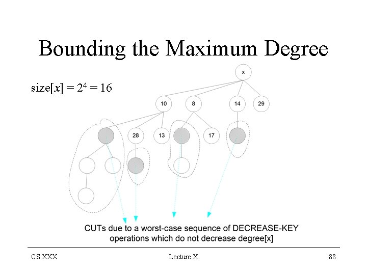 Bounding the Maximum Degree size[x] = 24 = 16 CS XXX Lecture X 88