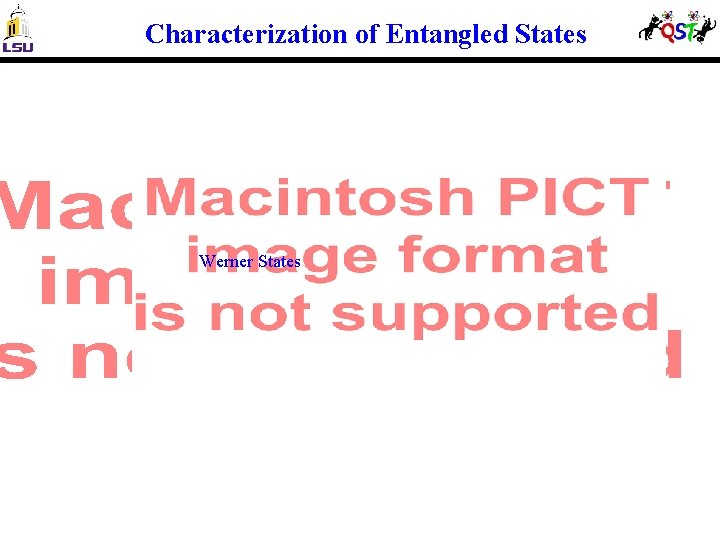 Characterization of Entangled States Werner States 