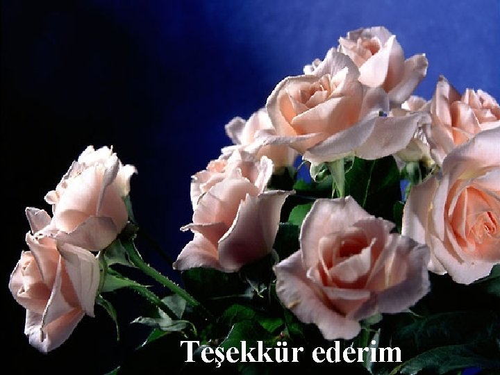 Teşekkür ederim 