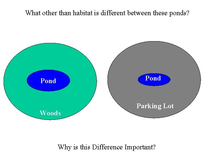What other than habitat is different between these ponds? Pond Woods Parking Lot Why