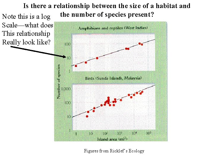 Is there a relationship between the size of a habitat and Note this is