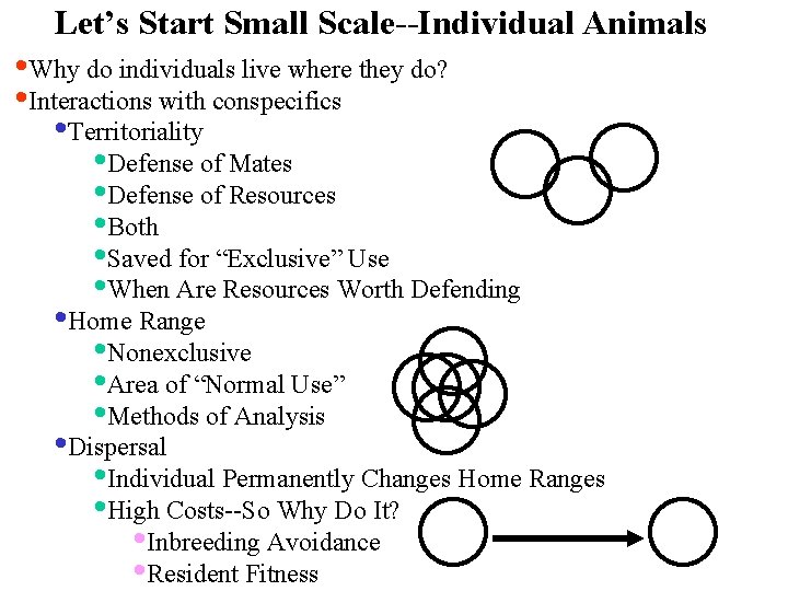 Let’s Start Small Scale--Individual Animals • Why do individuals live where they do? •