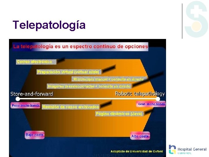 Telepatología 