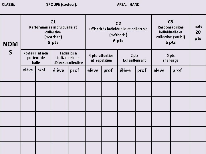 CLASSE: GROUPE (couleur): APSA: HAND C 1 Performances individuelle et collective (motricité) NOM S
