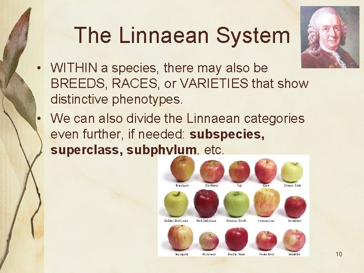 The Linnaean System • WITHIN a species, there may also be BREEDS, RACES, or