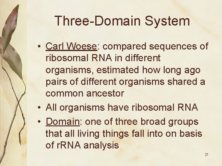 Three-Domain System • Carl Woese: compared sequences of ribosomal RNA in different organisms, estimated