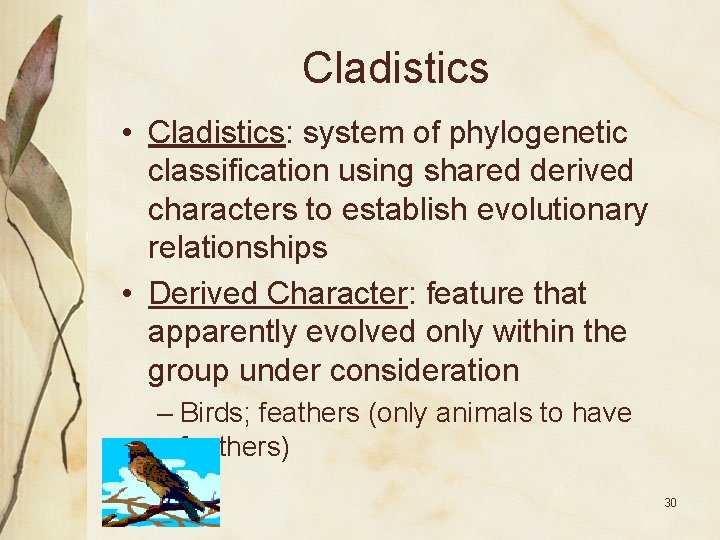 Cladistics • Cladistics: system of phylogenetic classification using shared derived characters to establish evolutionary