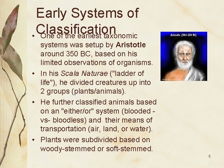 Early Systems of Classification • One of the earliest taxonomic systems was setup by