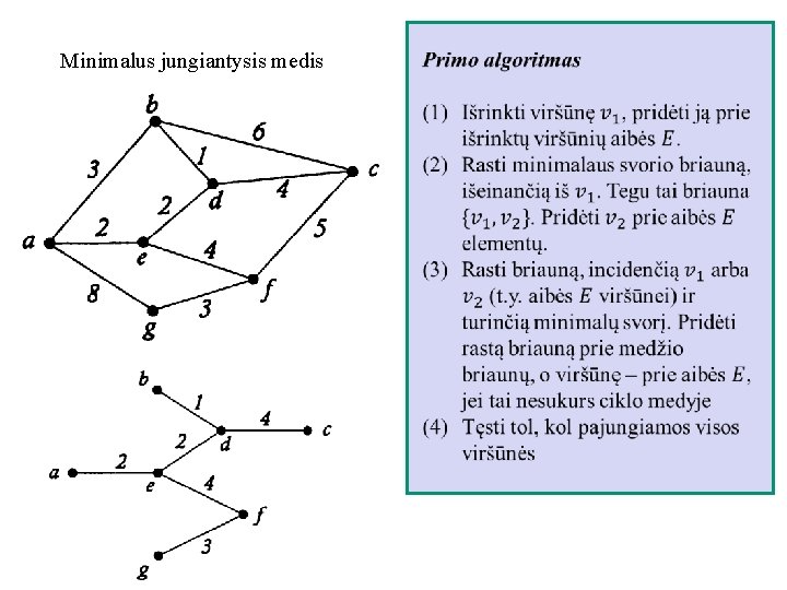 Minimalus jungiantysis medis 