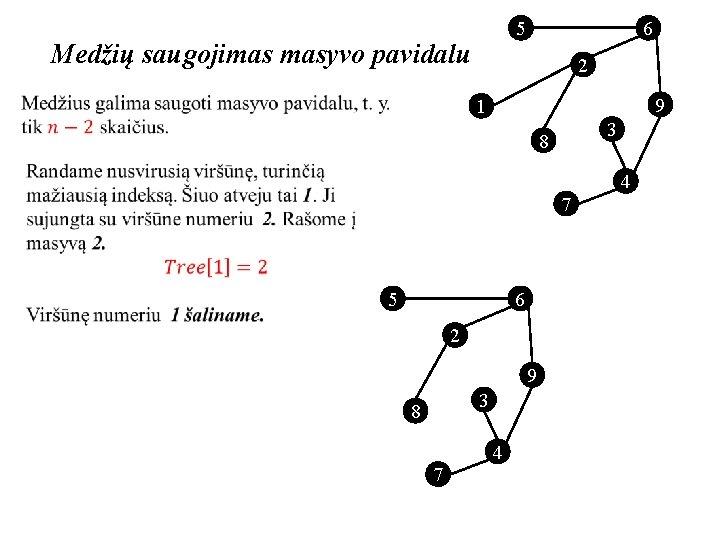 5 Medžių saugojimas masyvo pavidalu 6 2 9 1 3 8 4 7 5