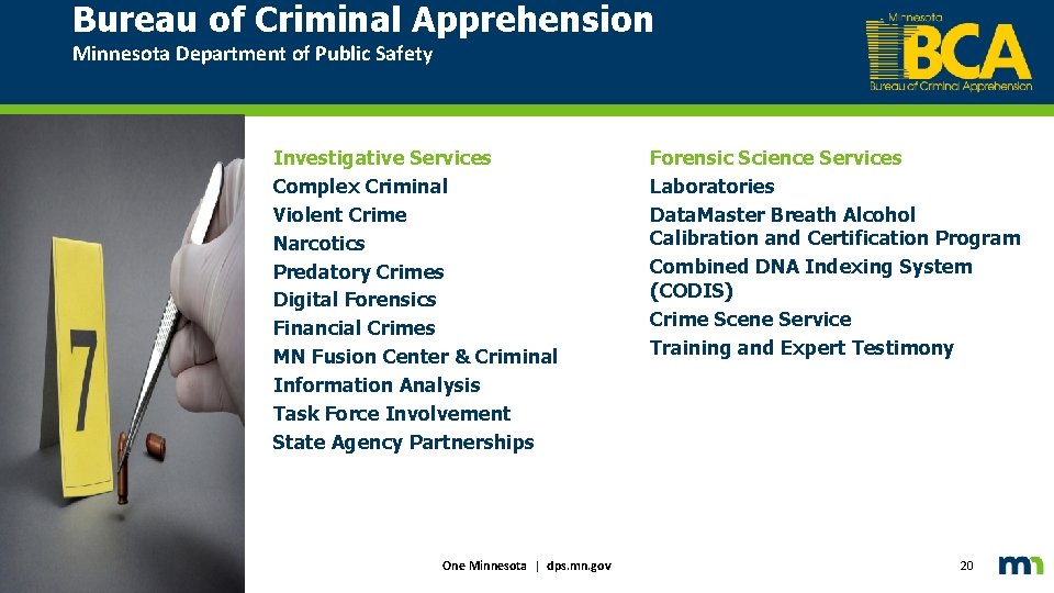Bureau of Criminal Apprehension Minnesota Department of Public Safety Investigative Services Complex Criminal Violent