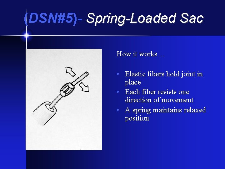(DSN#5)- Spring-Loaded Sac How it works… • Elastic fibers hold joint in place •
