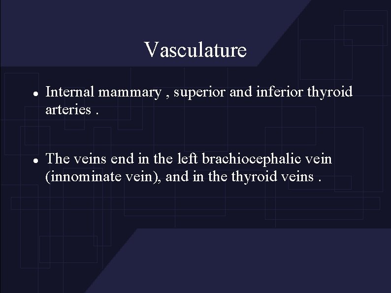 Vasculature Internal mammary , superior and inferior thyroid arteries. The veins end in the