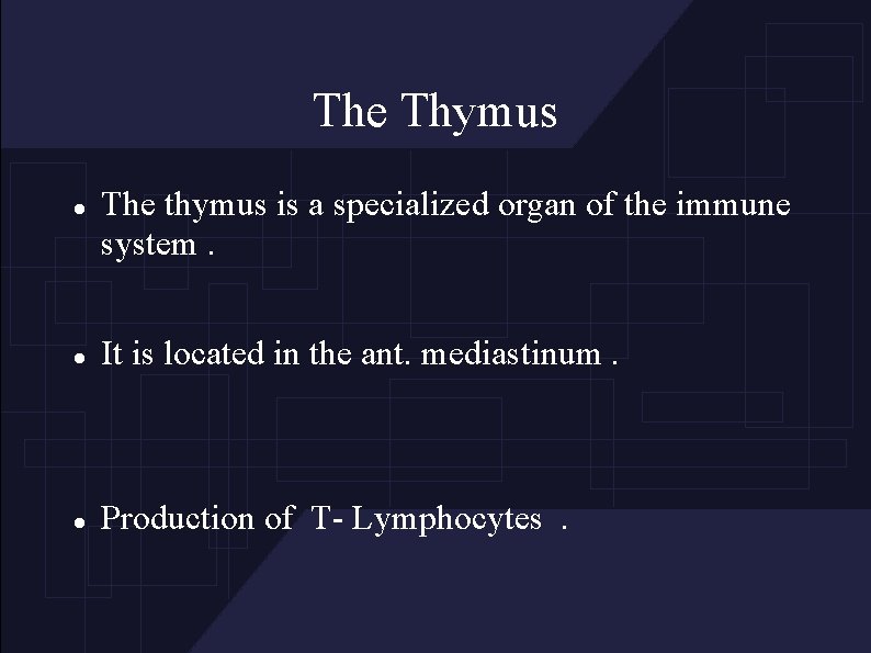 The Thymus The thymus is a specialized organ of the immune system. It is