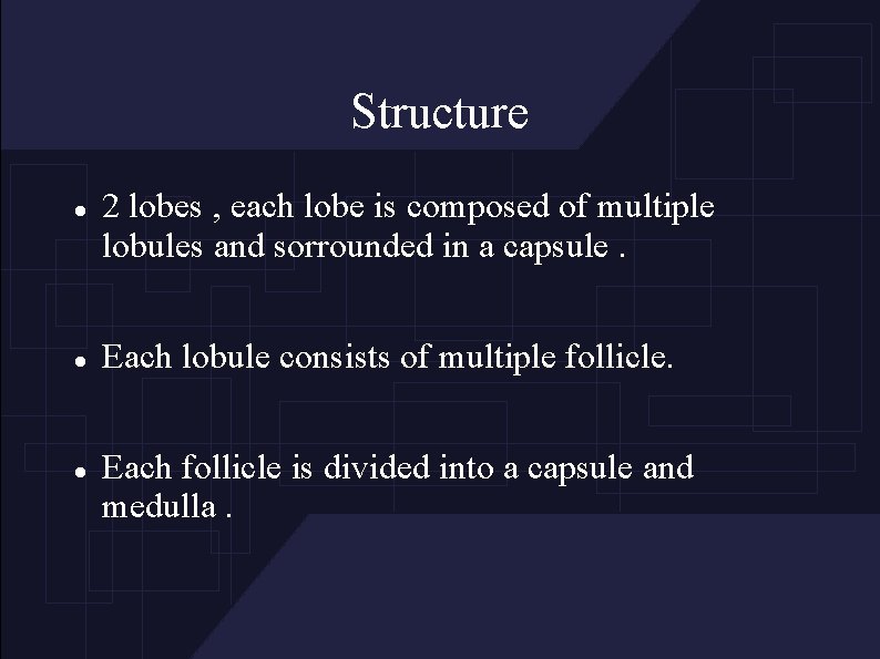 Structure 2 lobes , each lobe is composed of multiple lobules and sorrounded in