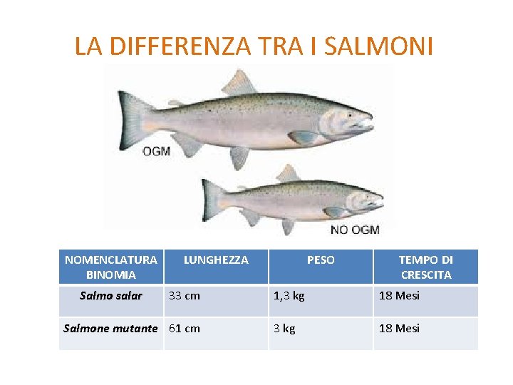LA DIFFERENZA TRA I SALMONI NOMENCLATURA BINOMIA Salmo salar LUNGHEZZA 33 cm Salmone mutante