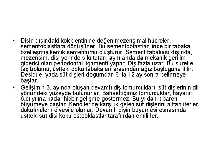  • Dişin dışındaki kök dentinine değen mezenşimal hücreler, sementoblastlara dönüşürler. Bu sementoblastlar, ince