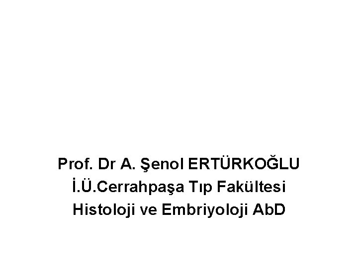 Prof. Dr A. Şenol ERTÜRKOĞLU İ. Ü. Cerrahpaşa Tıp Fakültesi Histoloji ve Embriyoloji Ab.