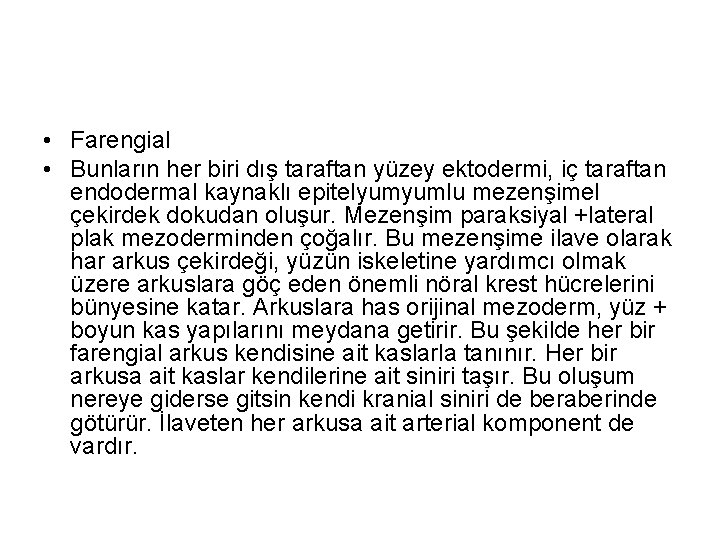  • Farengial • Bunların her biri dış taraftan yüzey ektodermi, iç taraftan endodermal