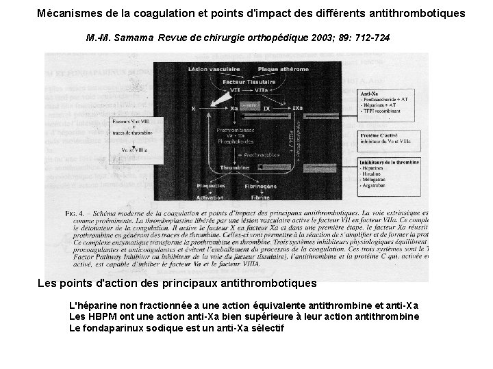 Mécanismes de la coagulation et points d'impact des différents antithrombotiques M. -M. Samama Revue