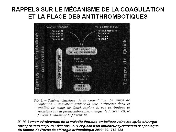 RAPPELS SUR LE MÉCANISME DE LA COAGULATION ET LA PLACE DES ANTITHROMBOTIQUES M. -M.