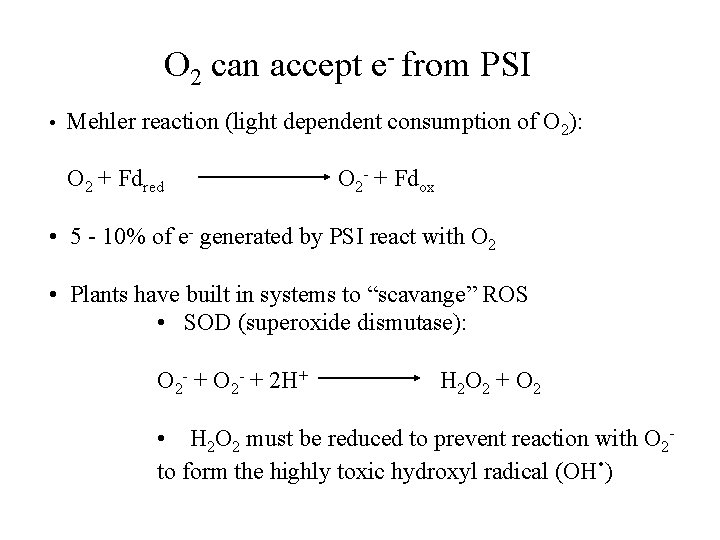 O 2 can accept e- from PSI • Mehler reaction (light dependent consumption of