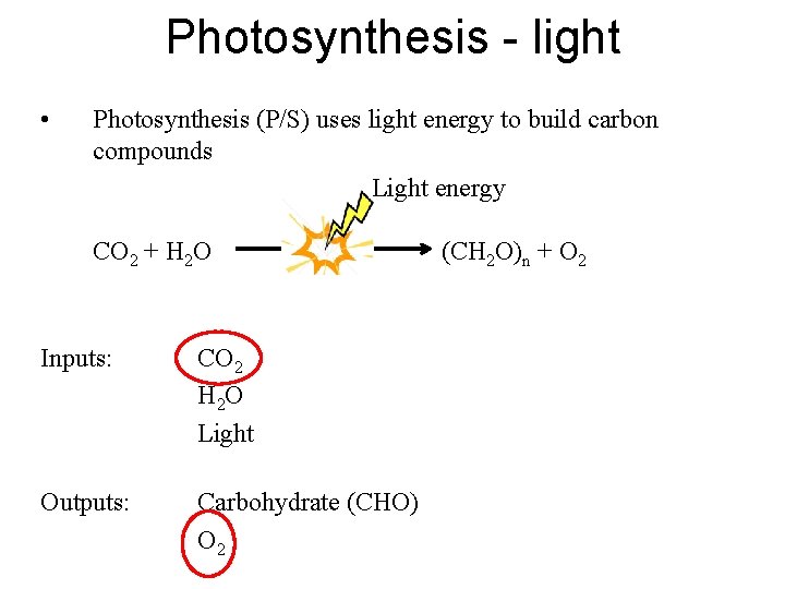 Photosynthesis - light • Photosynthesis (P/S) uses light energy to build carbon compounds Light