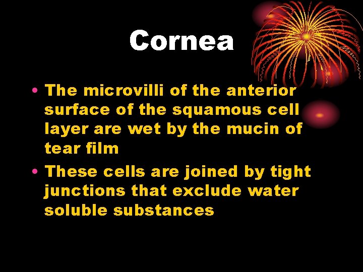 Cornea • The microvilli of the anterior surface of the squamous cell layer are