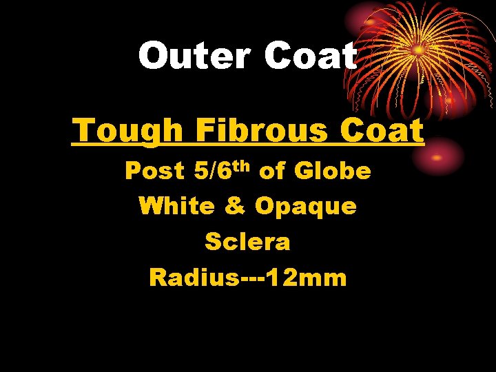 Outer Coat Tough Fibrous Coat Post 5/6 th of Globe White & Opaque Sclera