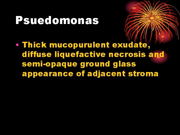 Psuedomonas • Thick mucopurulent exudate, diffuse liquefactive necrosis and semi-opaque ground glass appearance of