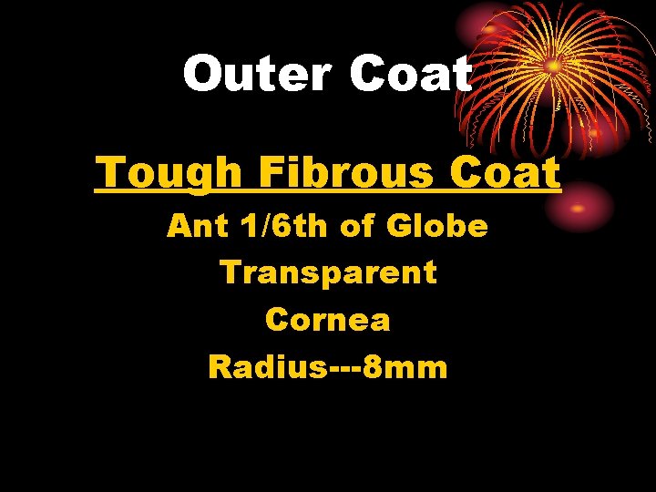 Outer Coat Tough Fibrous Coat Ant 1/6 th of Globe Transparent Cornea Radius---8 mm