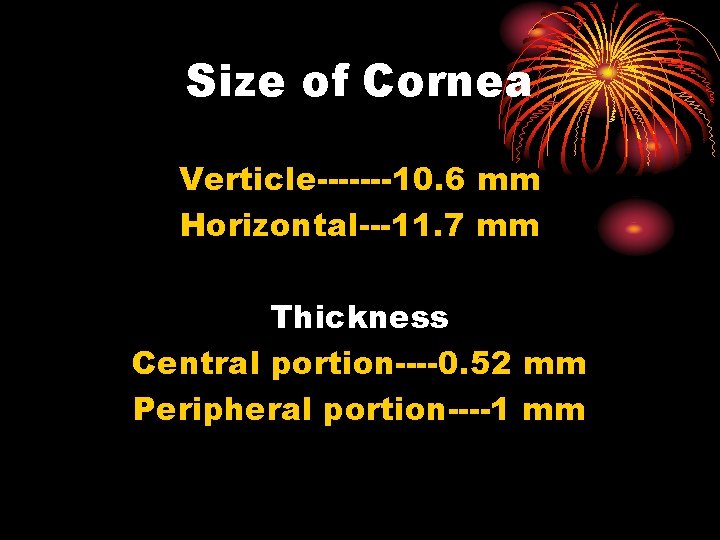 Size of Cornea Verticle-------10. 6 mm Horizontal---11. 7 mm Thickness Central portion----0. 52 mm