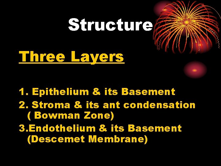 Structure Three Layers 1. Epithelium & its Basement 2. Stroma & its ant condensation