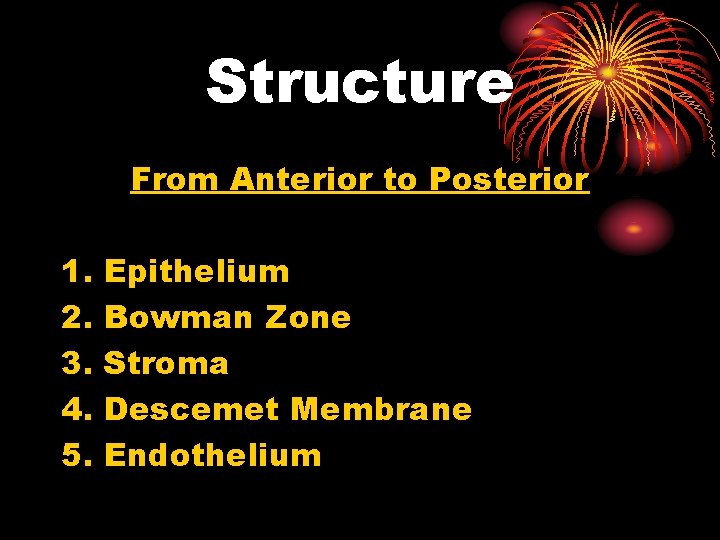 Structure From Anterior to Posterior 1. 2. 3. 4. 5. Epithelium Bowman Zone Stroma