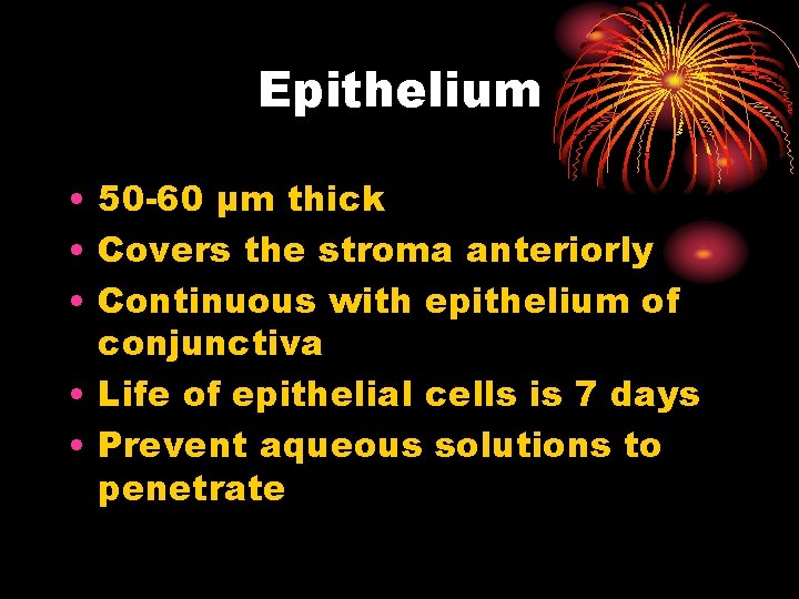 Epithelium • 50 -60 µm thick • Covers the stroma anteriorly • Continuous with