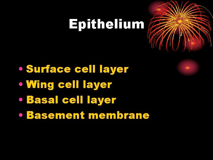 Epithelium • Surface cell layer • Wing cell layer • Basal cell layer •