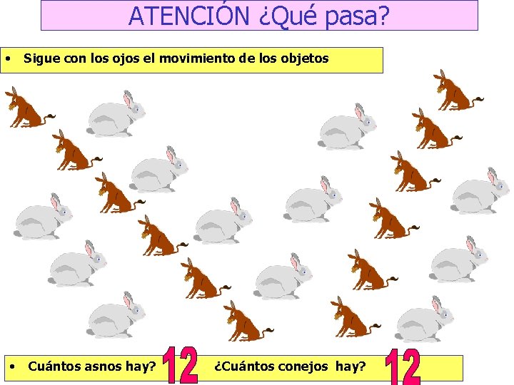 ATENCIÓN ¿Qué pasa? • • Sigue con los ojos el movimiento de los objetos