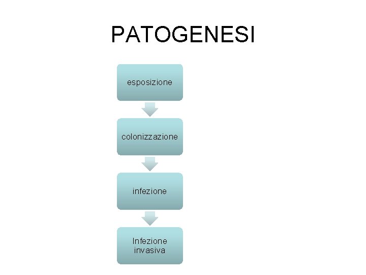 PATOGENESI esposizione colonizzazione infezione Infezione invasiva 