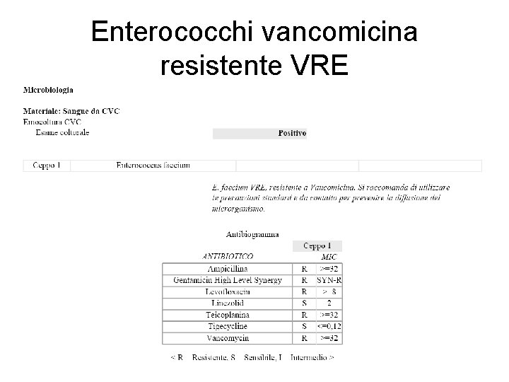 Enterococchi vancomicina resistente VRE 