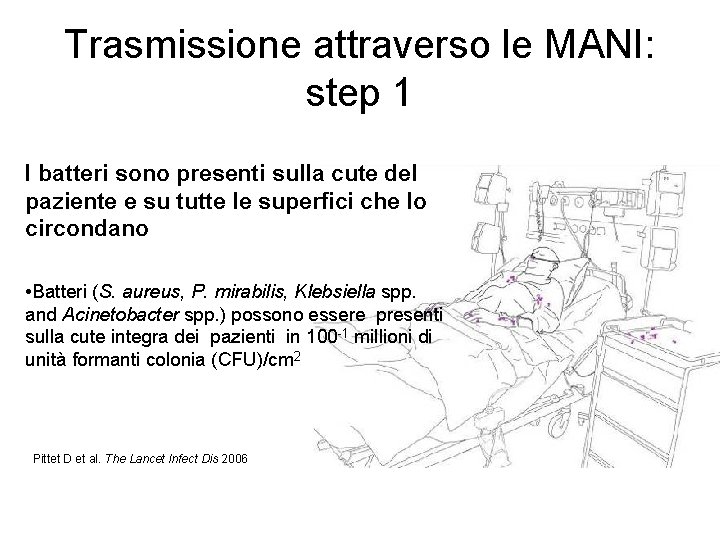 Trasmissione attraverso le MANI: step 1 I batteri sono presenti sulla cute del paziente