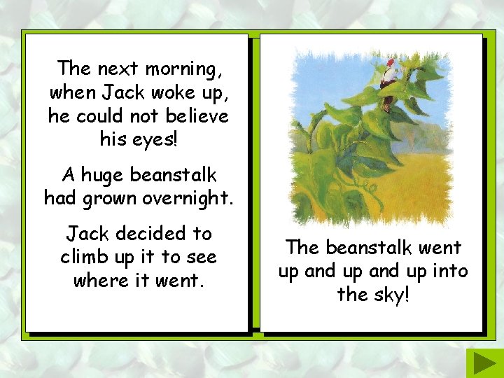 The next morning, when Jack woke up, he could not believe his eyes! A