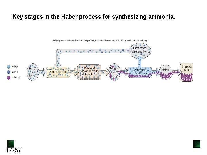 Key stages in the Haber process for synthesizing ammonia. 17 -57 