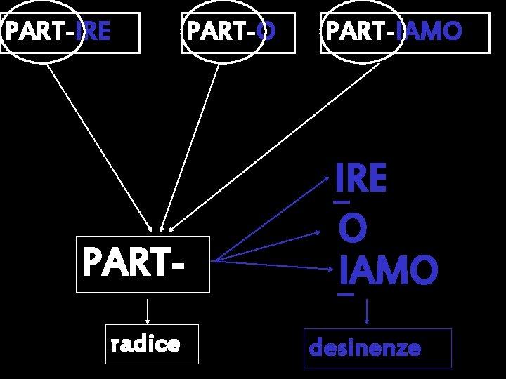 PART-IRE PART-O PARTradice PART-IAMO IRE O IAMO desinenze 