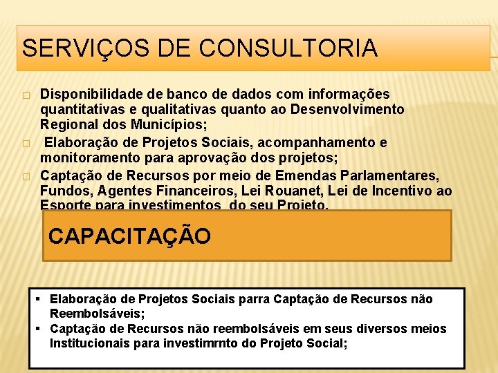 SERVIÇOS DE CONSULTORIA � � � Disponibilidade de banco de dados com informações quantitativas