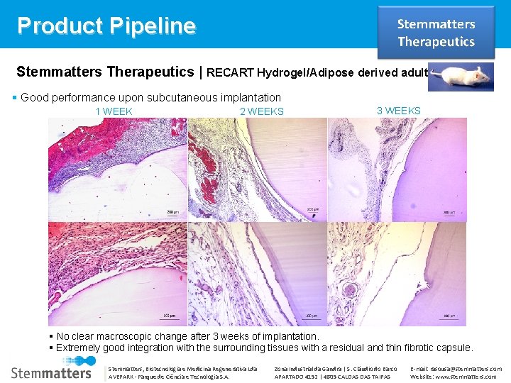 Product Pipeline Stemmatters Therapeutics | RECART Hydrogel/Adipose derived adult stem cells Good performance upon