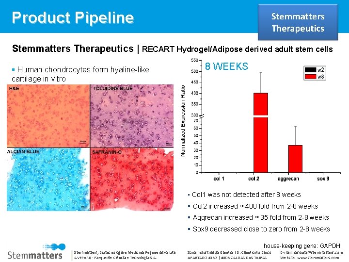 Product Pipeline Stemmatters Therapeutics | RECART Hydrogel/Adipose derived adult stem cells Human chondrocytes form