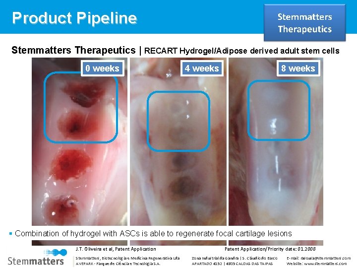 Product Pipeline Stemmatters Therapeutics | RECART Hydrogel/Adipose derived adult stem cells 0 weeks 4